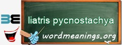 WordMeaning blackboard for liatris pycnostachya